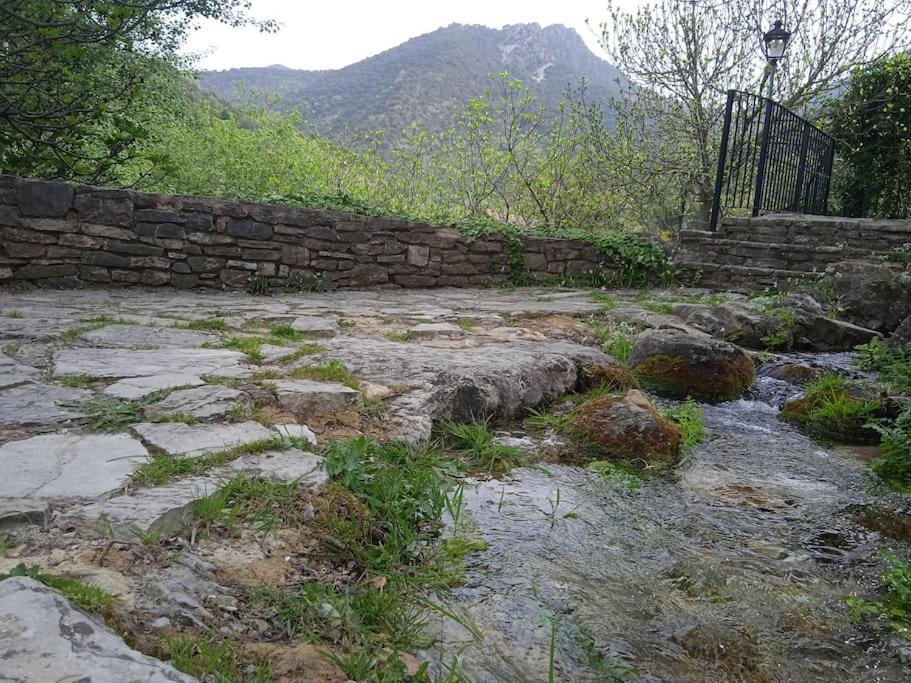 Alojamientos Sierra De Cadiz بيناماهوما المظهر الخارجي الصورة