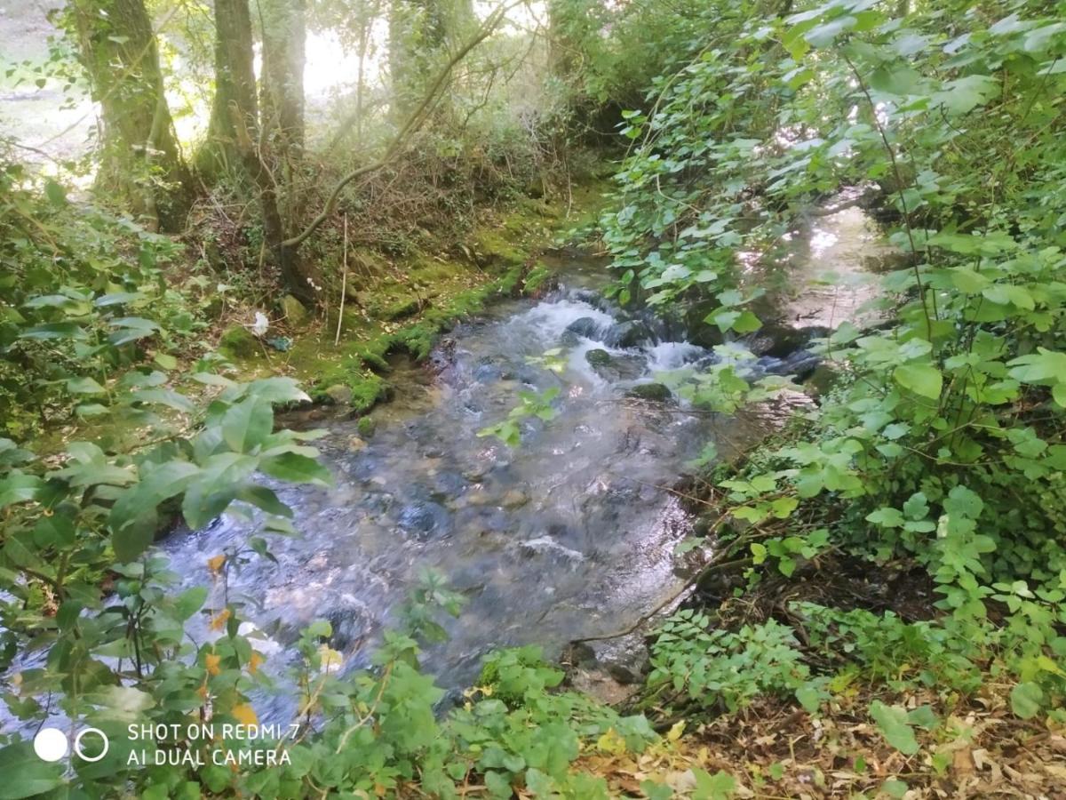 Alojamientos Sierra De Cadiz بيناماهوما المظهر الخارجي الصورة