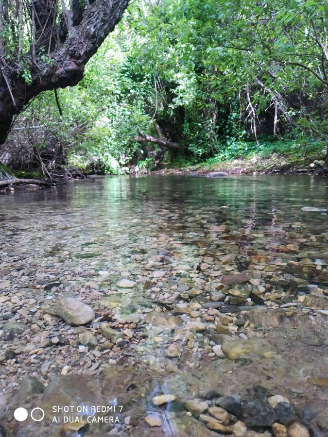 Alojamientos Sierra De Cadiz بيناماهوما المظهر الخارجي الصورة