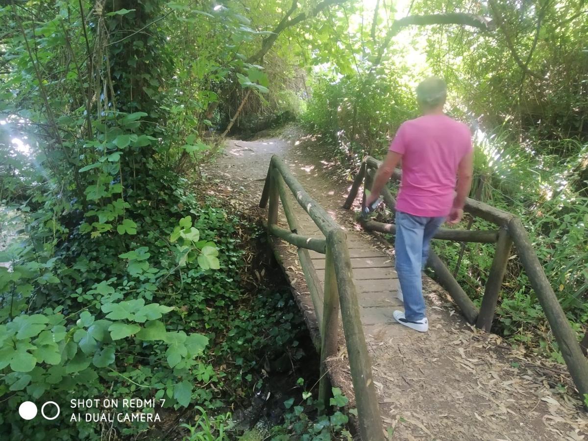 Alojamientos Sierra De Cadiz بيناماهوما المظهر الخارجي الصورة