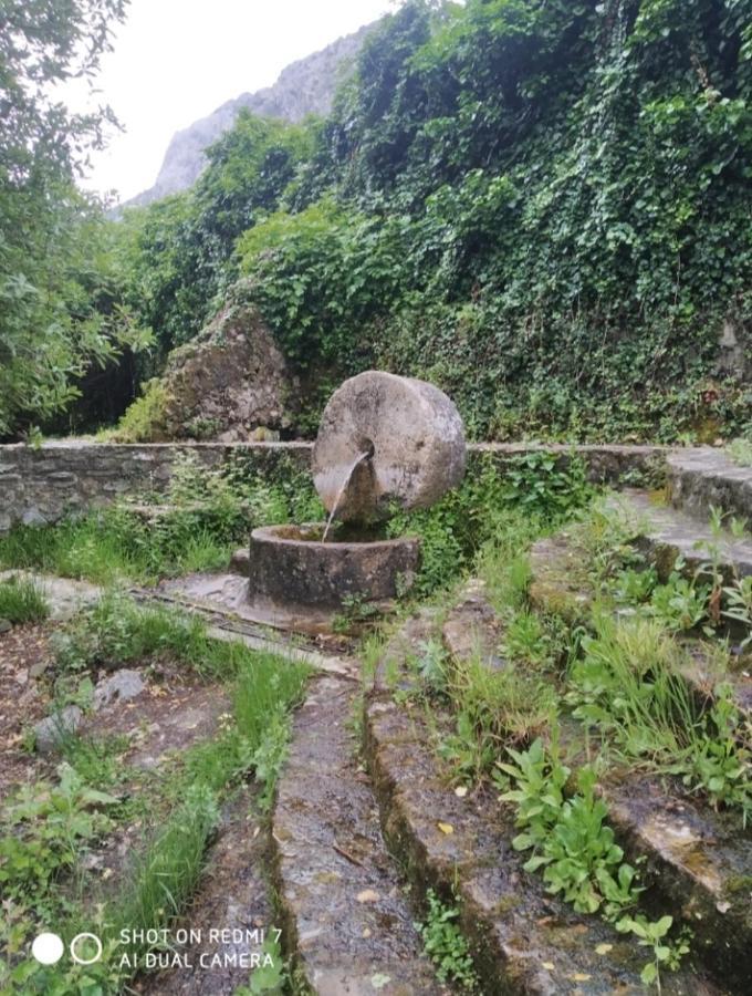 Alojamientos Sierra De Cadiz بيناماهوما المظهر الخارجي الصورة