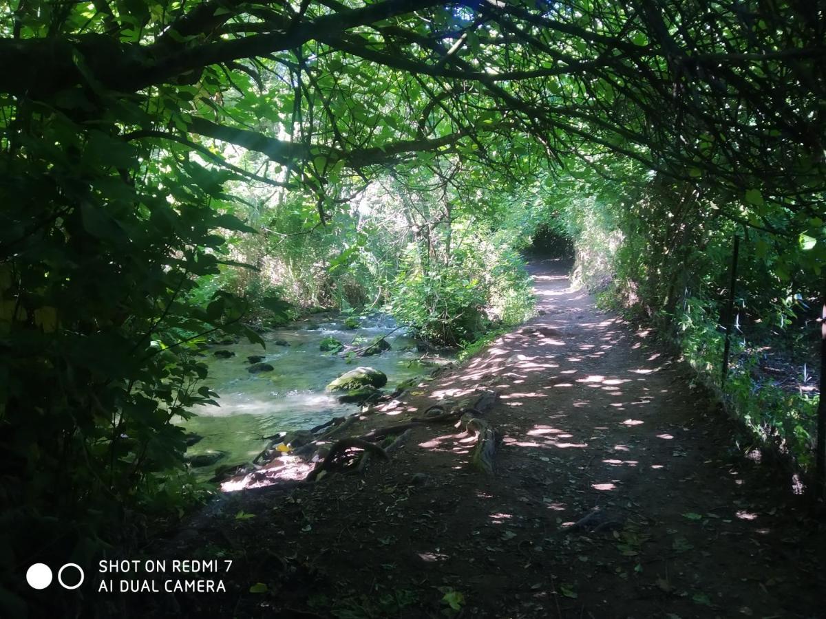 Alojamientos Sierra De Cadiz بيناماهوما المظهر الخارجي الصورة