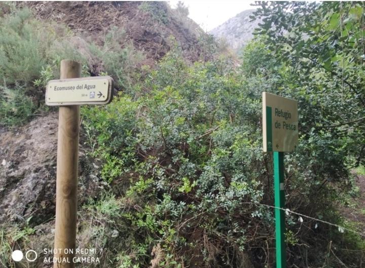 Alojamientos Sierra De Cadiz بيناماهوما المظهر الخارجي الصورة