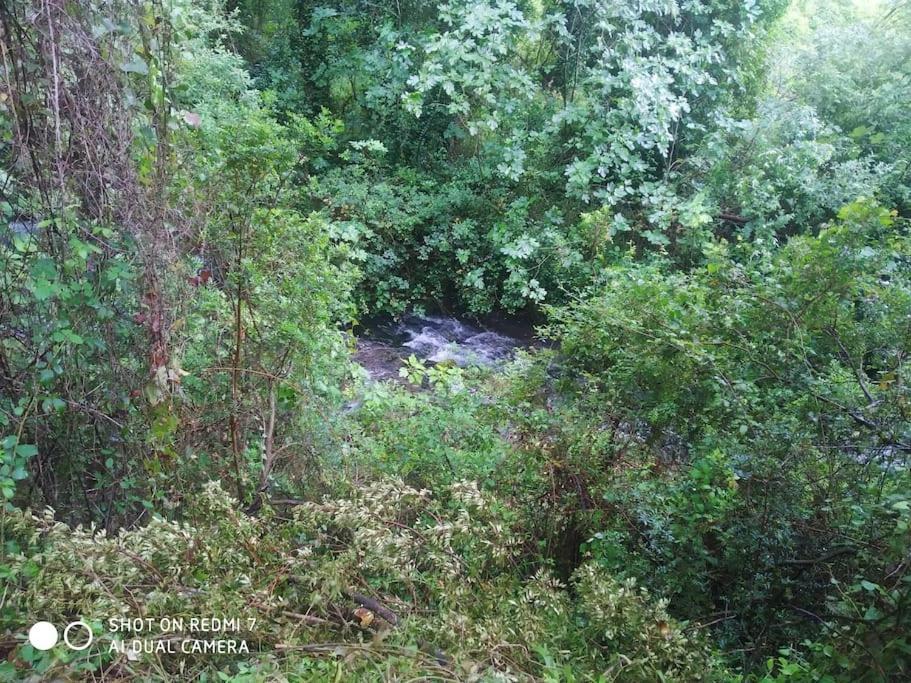 Alojamientos Sierra De Cadiz بيناماهوما المظهر الخارجي الصورة