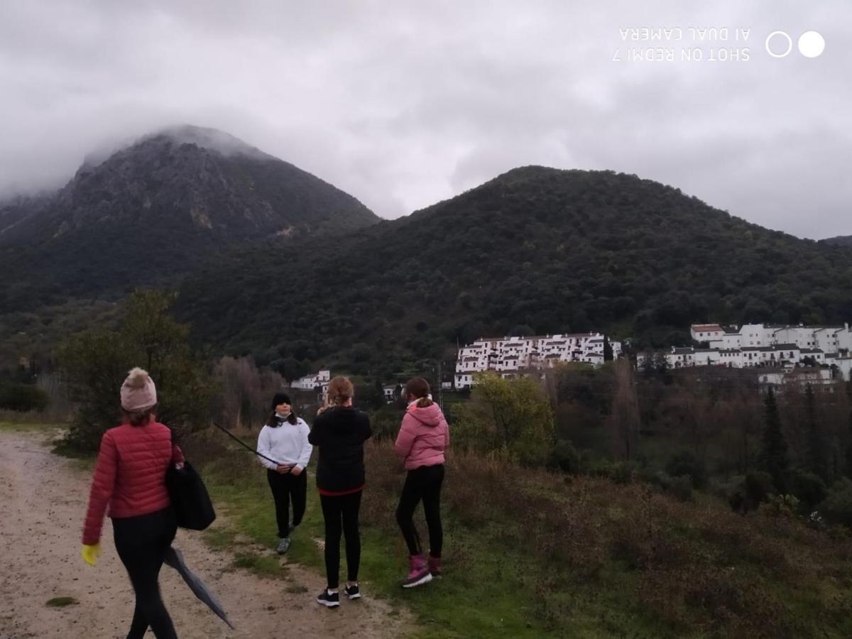 Alojamientos Sierra De Cadiz بيناماهوما المظهر الخارجي الصورة