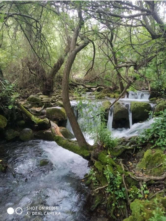 Alojamientos Sierra De Cadiz بيناماهوما المظهر الخارجي الصورة