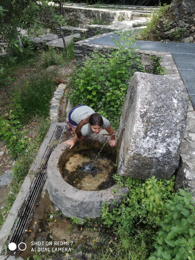 Alojamientos Sierra De Cadiz بيناماهوما المظهر الخارجي الصورة