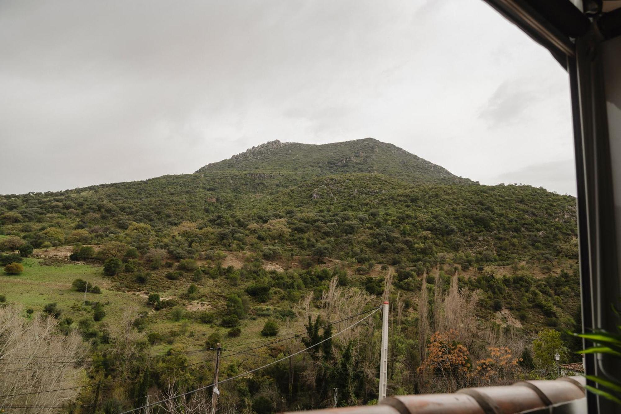 Alojamientos Sierra De Cadiz بيناماهوما المظهر الخارجي الصورة