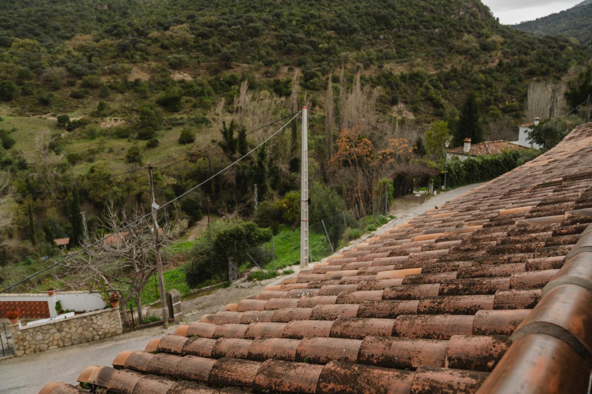Alojamientos Sierra De Cadiz بيناماهوما المظهر الخارجي الصورة