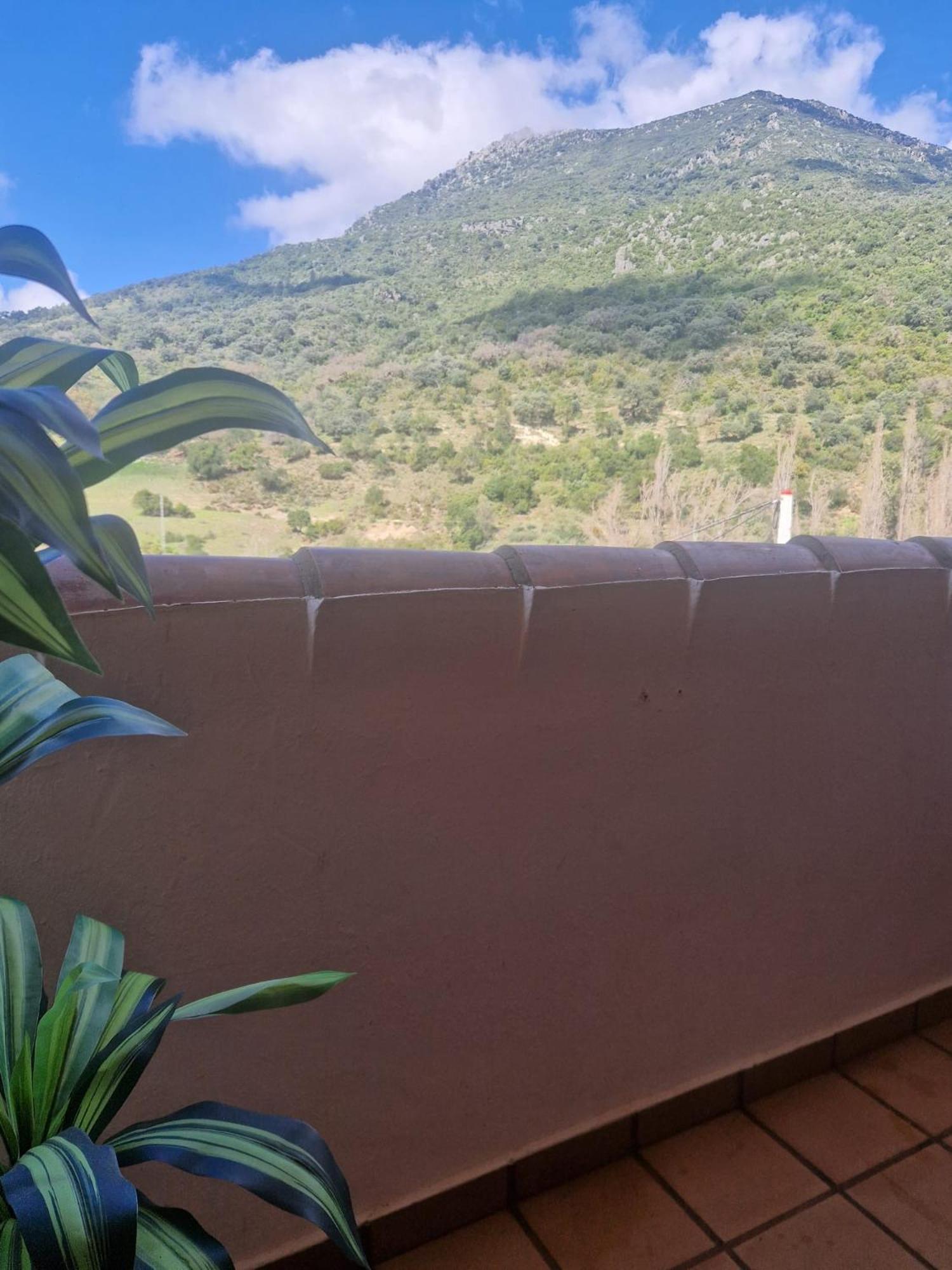 Alojamientos Sierra De Cadiz بيناماهوما المظهر الخارجي الصورة